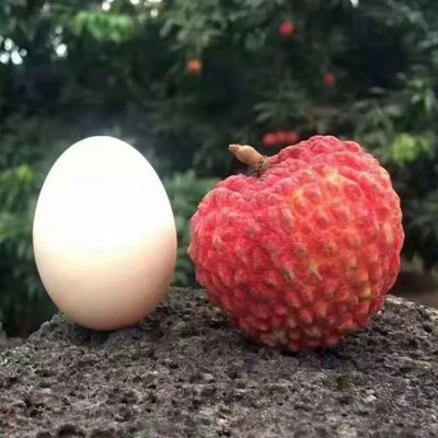 海南永兴火山石荔枝王和鸡蛋一样大的荔枝顺丰空运包邮图3