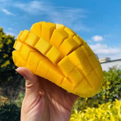 海南金煌芒果水仙芒大青芒新鲜应季水果整箱包邮甜心芒带箱10装图4