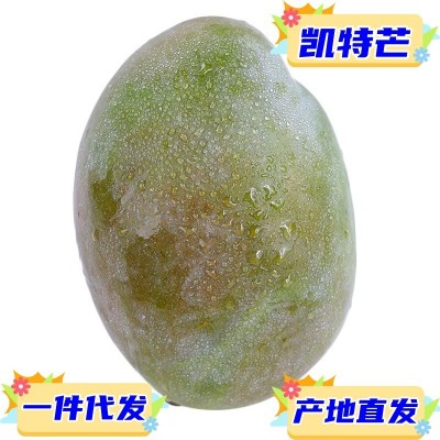 一件代发四川攀枝花凯特芒果当季时令新鲜现摘水果凯特芒果现货图1