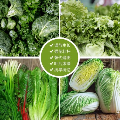 成吨氨基酸有机肥叶菜鸡粪机械高温发酵肥蔬菜花卉果树图3