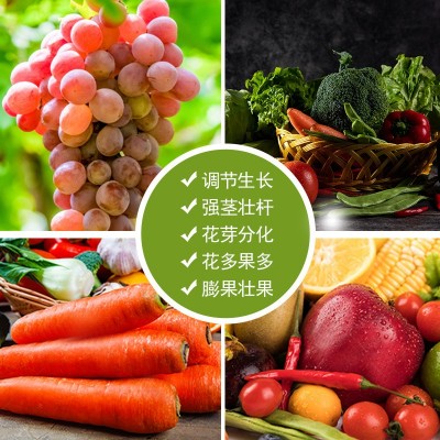 氨基酸有机肥瓜果专用肥料多元素果树蔬菜农用有机肥树木果树图4