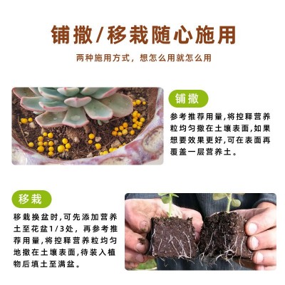 多肉爆盆增色增肥花肥谷颗粒控释肥花卉植物通用家庭园艺缓释肥料图3