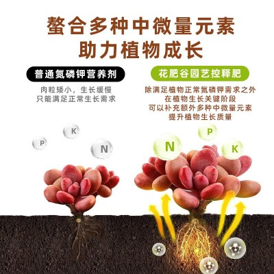 多肉爆盆增色增肥花肥谷颗粒控释肥花卉植物通用家庭园艺缓释肥料图2