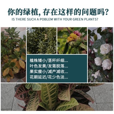缓释肥花肥料复合肥家用盆栽植物通用多肉养花卉氮磷钾肥控释颗粒图2