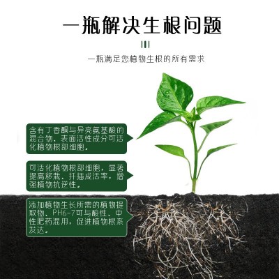 生根粉植物通用树木壮苗生根剂扦插多肉营养液移栽生根液图3