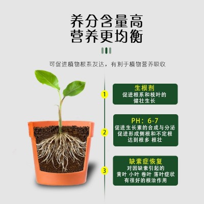 生根粉植物通用树木壮苗生根剂扦插多肉营养液移栽生根液图4