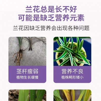 源头厂家兰花专用缓释掺混肥含腐蚀酸水溶肥料通用型君子兰蝴蝶兰图4