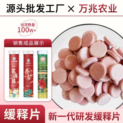 家用园艺植物缓释片批发营养片缓释肥控释肥颗粒肥家庭通用型肥料图3