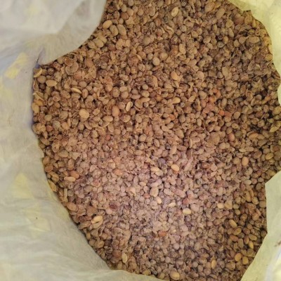 微生物发酵大豆有机肥不榨油纯黄豆改良土壤大蒜草莓底肥发酵大豆图2