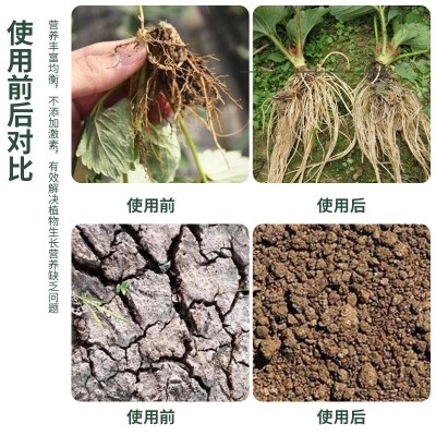 20kg桶装水溶肥 矿源黄腐酸钾液体水溶肥 果蔬生根壮苗保花膨果肥图2