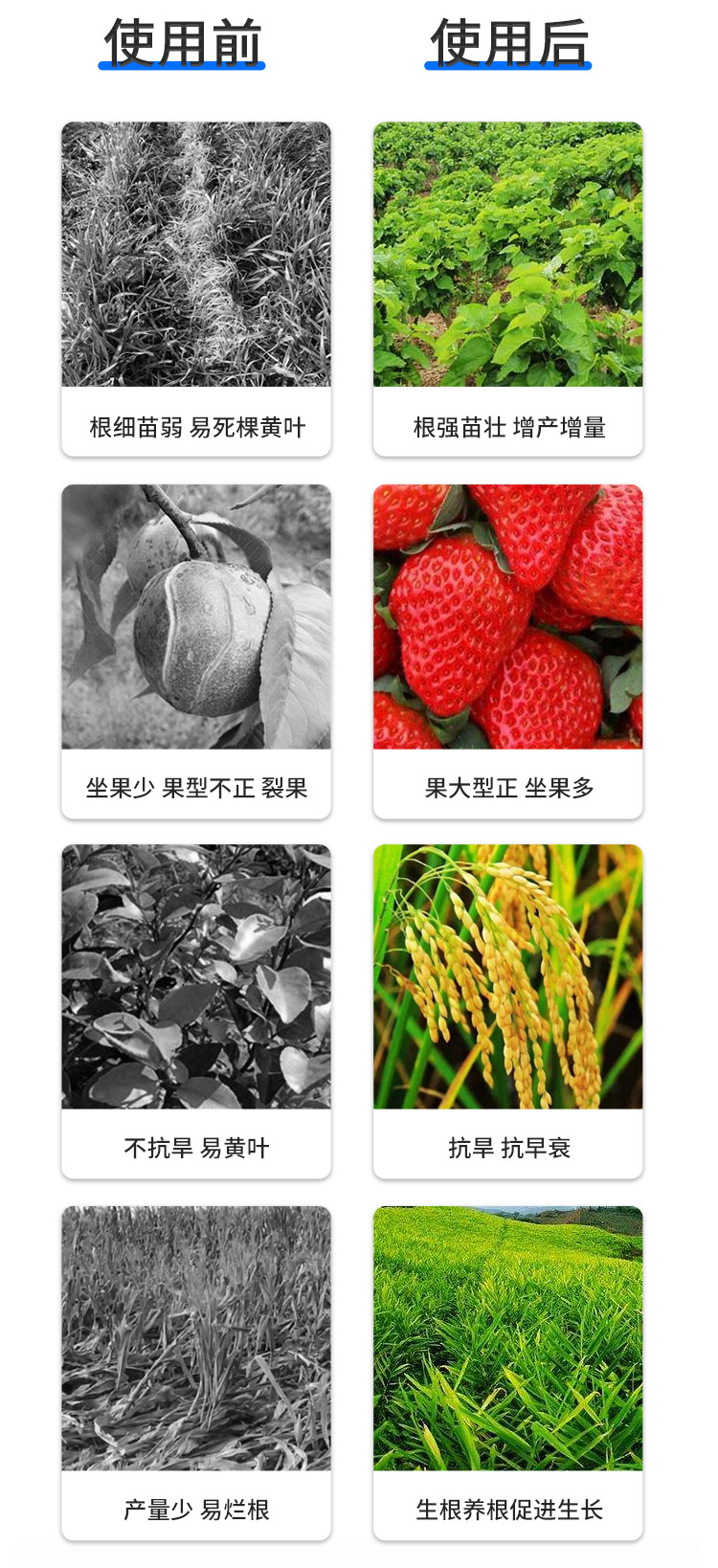矿源黄腐酸钾_13.jpg
