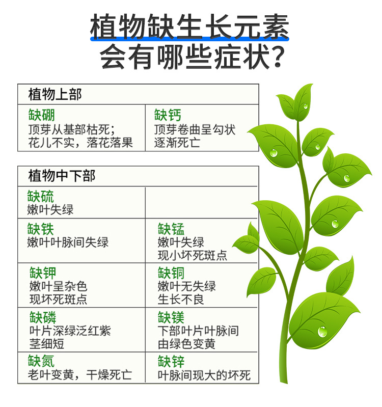 矿源黄腐酸钾_15.jpg