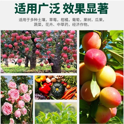 均衡型水溶性肥料大量元素含氮磷钾矿源均衡型果树蔬菜叶面冲施肥图2