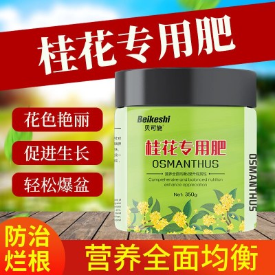 桂花花肥料桂花树肥料月四季桂家用盆栽庭院复合肥营养液化肥图2