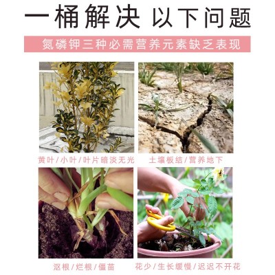复合肥花肥料盆栽家用养花蔬菜氮磷钾三元花肥缓释有机家用尊享款图3