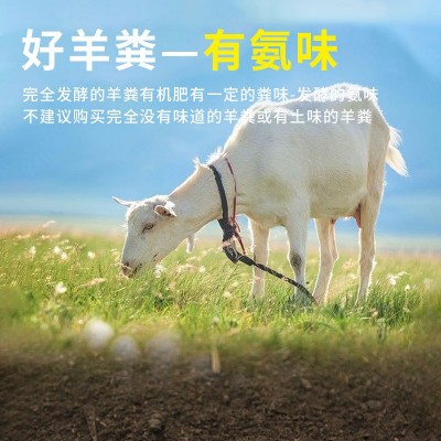 羊粪二次发酵有机肥花卉绿植瓜果蔬菜植物通用型肥料真羊粪不烧根图3