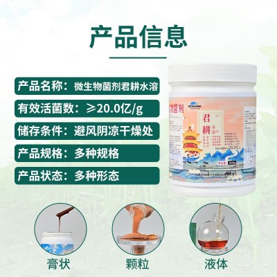 工厂批发微生物菌剂水溶肥生根壮苗抗根腐改良土壤抗病菌抗逆化肥图2