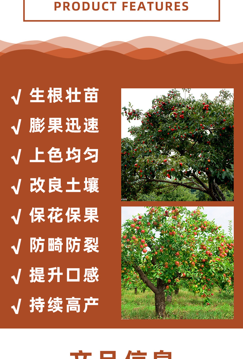 详情_04.jpg