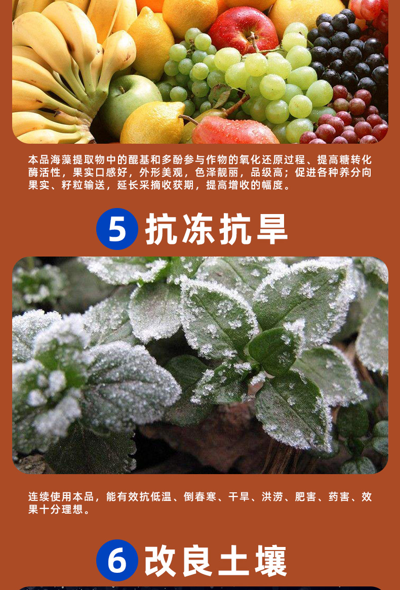 详情_08.jpg