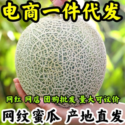 云南石林奶香人参果黄肉圆果树上熟低糖10斤礼盒精品大果一件代发图5