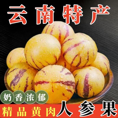 云南石林奶香人参果黄肉圆果树上熟低糖10斤礼盒精品大果一件代发图3
