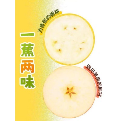 广西芭蕉苹果蕉香蕉应季水果现采现发（绿蕉发货，禁止蕉虑）包邮图2