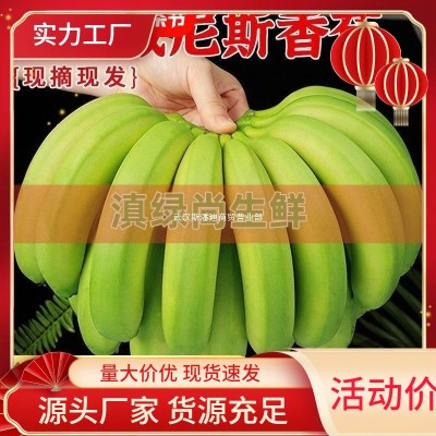 广西芭蕉苹果蕉香蕉应季水果现采现发（绿蕉发货，禁止蕉虑）包邮图4