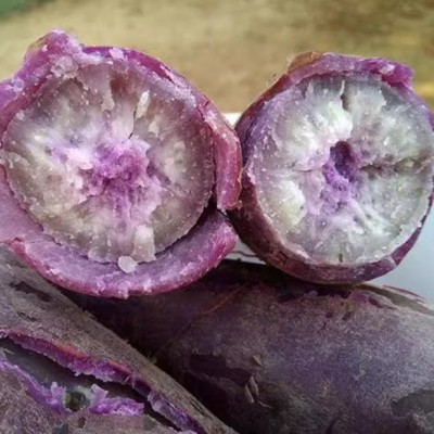 冰淇淋红薯一点红紫心薯番薯沙地新鲜红蜜薯地瓜板栗红薯一件代发图4
