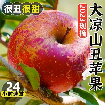 大凉山丑苹果10斤新鲜当季水果盐源红富士冰糖心嘎啦包邮一件代发图2