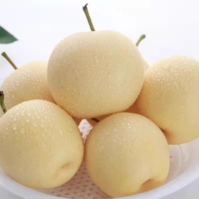 河北皇冠梨白梨子5斤整箱包邮新鲜梨子水果脆甜当季雪梨一件代发图2