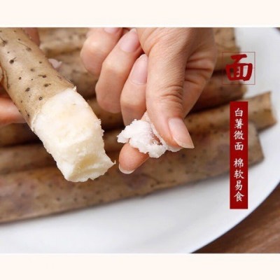 蠡县铁棍山药小白嘴粉糯山药淮山药铁杆山药新鲜蔬菜批发包邮图4