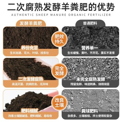 40斤腐熟羊粪羊粪肥家庭园艺种植家用发酵有机养花种菜专用农用大图2