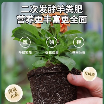 羊粪发酵有机肥腐熟羊粪肥有机肥料蔬菜专用羊屎粪蛋营养肥料花肥图3