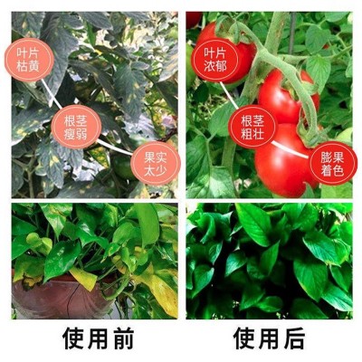 葱姜蒜专用肥通用型果蔬绿植小葱大葱复合肥颗粒缓释肥有机肥批发图3
