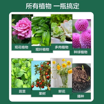 葱姜蒜专用肥通用型果蔬绿植小葱大葱复合肥颗粒缓释肥有机肥批发图4