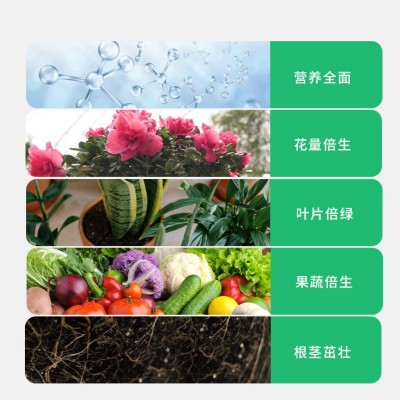 特质骨粉花肥料花卉有机肥家用高磷钙促花果脱脂脱盐月季兰花厂家图4