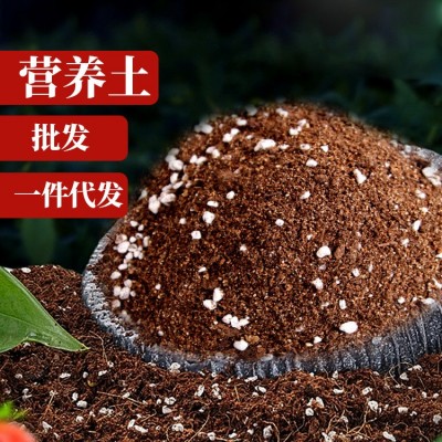 花土通用型养花营养土蔬菜盆栽多肉草莓种菜家用土壤种植有机泥土图2