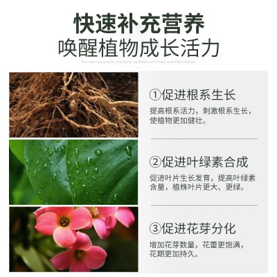 花肥料盆栽植物家用复合肥化肥花卉多肉蔬菜种菜果蔬通用型图4