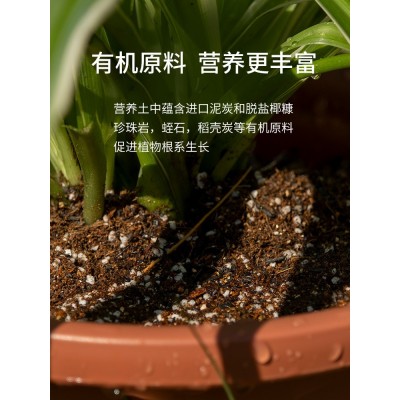 爱丽思通用型营养土种菜养花专用多肉月季盆栽有机壤肥料泥种植土图2
