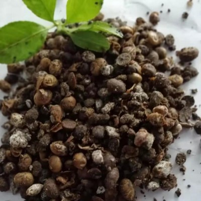 发酵大豆肥料 发酵大豆有机肥 土壤改良剂生物菌肥 腐熟发酵大豆图4