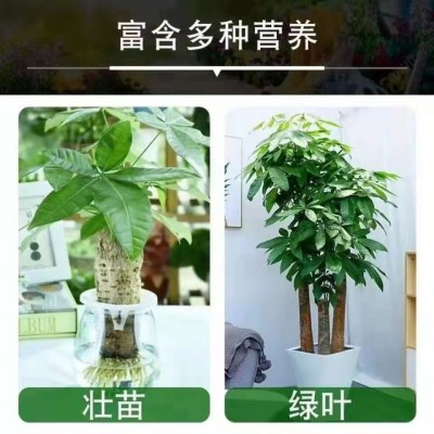 现货供应磷酸二氢钾 晶泰磷酸二氢钾 九河磷酸二氢钾 果树农作物图4