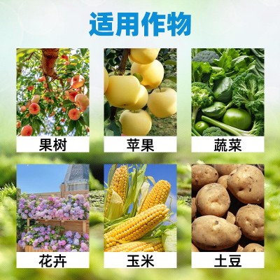 磷酸二氢钾生根壮苗瓜果蔬菜花卉冲施磷酸二氢钾农用全水溶叶面肥图3