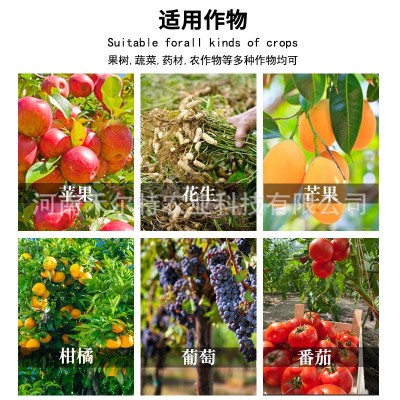 中微量元素水溶肥批发海藻十二三元素液体肥果树蔬菜农用冲施肥图3
