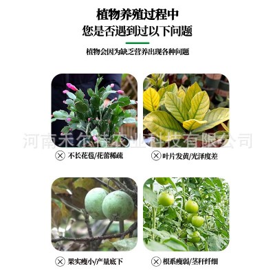中微量元素水溶肥批发海藻十二三元素液体肥果树蔬菜农用冲施肥图4