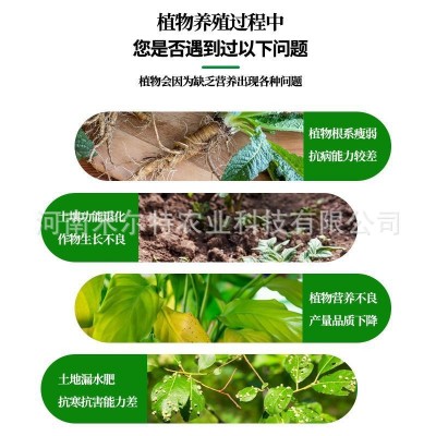 农用腐殖改善土壤生根壮苗调盐碱瓜果蔬菜通用矿源黄腐酸钾水溶肥图5