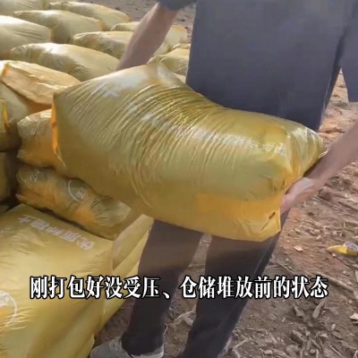 广东园林绿化种菜种花苗木通用型基质批发花土泥炭土种植土营养土图4