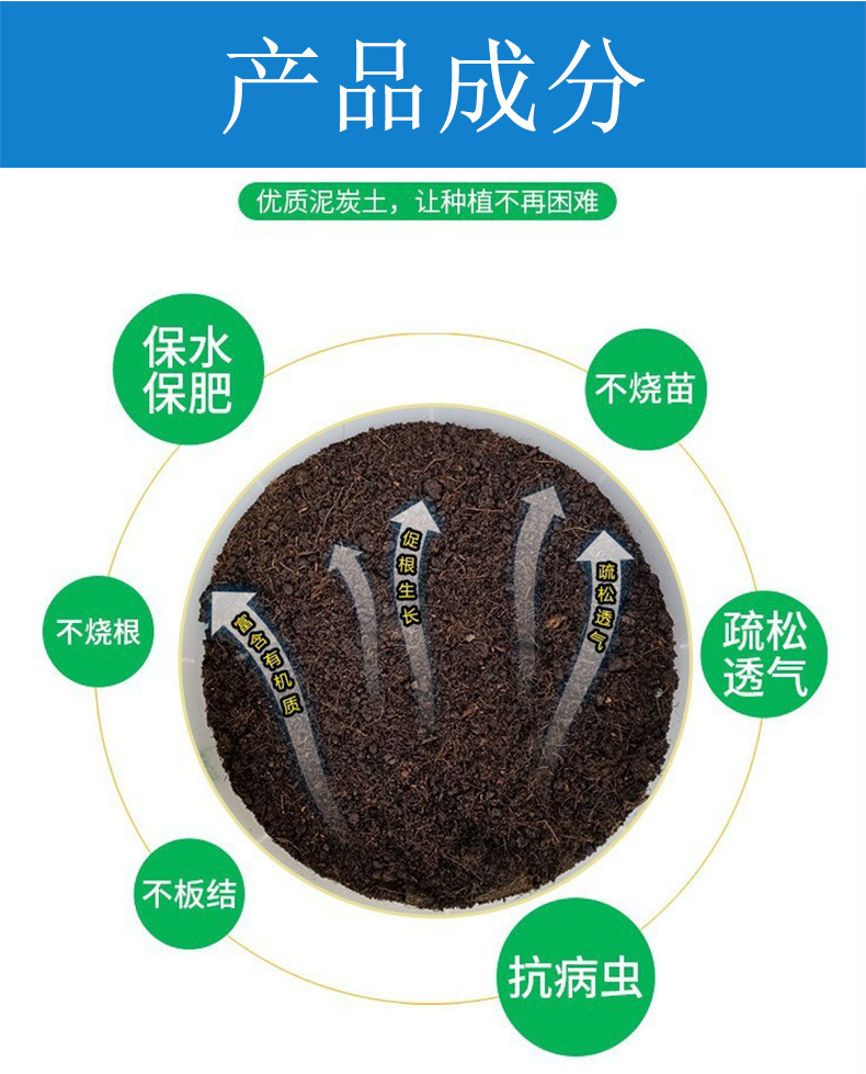 黄包_04.jpg