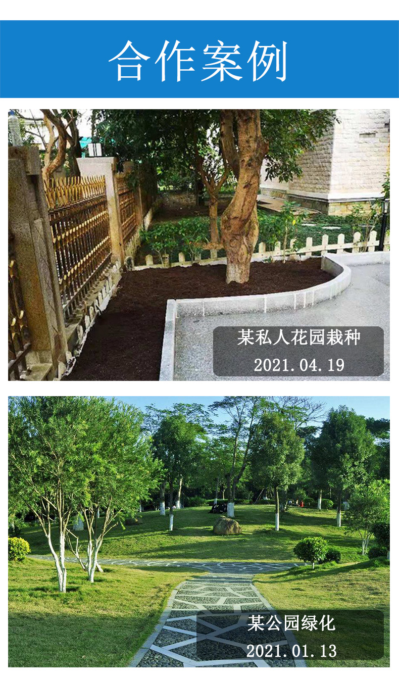 黄包_10.jpg