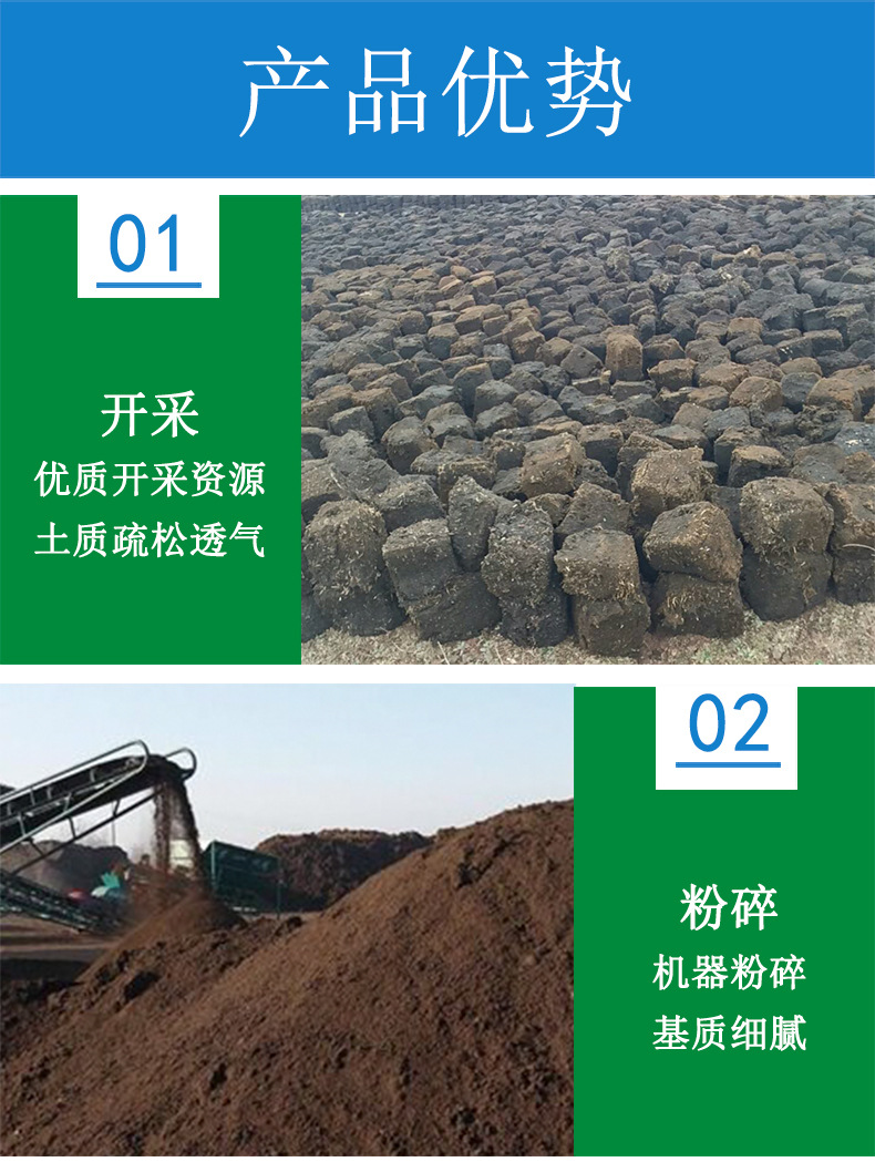黄包_05.jpg
