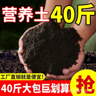 现货通用型有机营养土阳台种菜种植土花土泥土黑土有机蔬菜 专用土图4